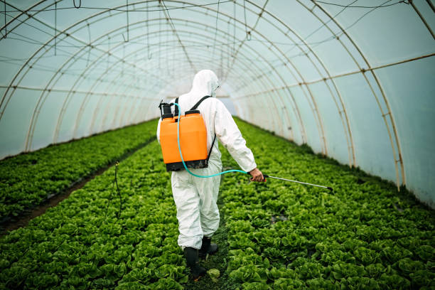 Pest Prevention Services in Palmview South, TX