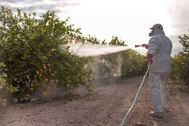 Pest Control Cost in Palmview South, TX